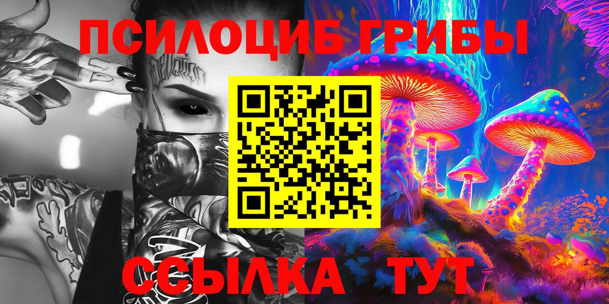 Псилоцибиновые грибы Cubensis Сегежа